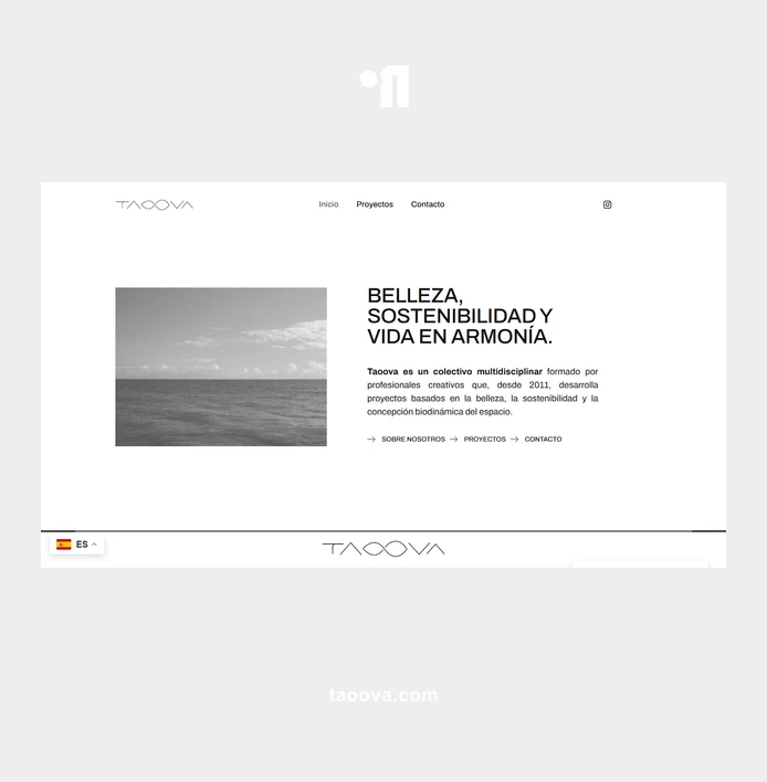 Diseño web corporativo para Taoova | Proyecto música y arte